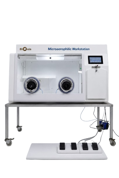 Microaerophilic Workstations