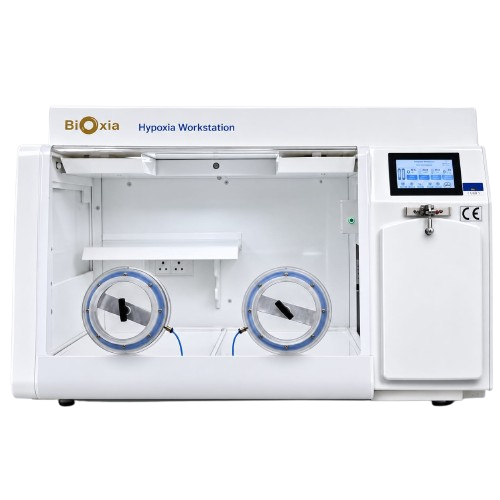 Hypoxic Workstations
